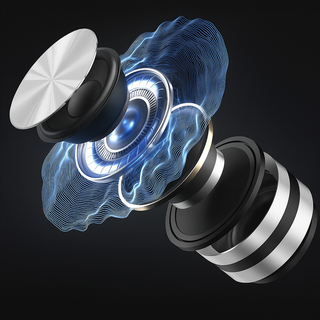 SoundBuddy™ | Compact Geluidsgenot Vionelle