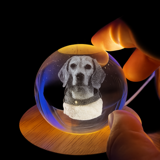 MemoriaSphere™ | Vang Herinneringen Vionelle