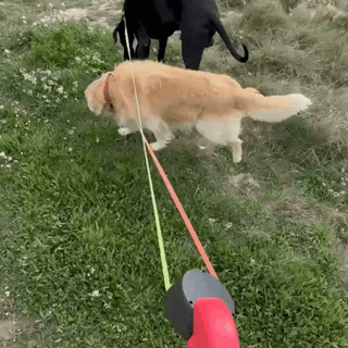 DuoWander™ | Slimme Hondenriem Vionelle