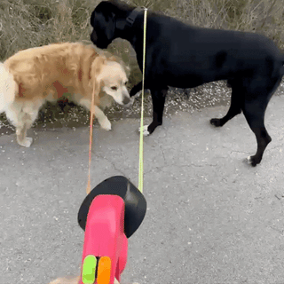 DuoWander™ | Slimme Hondenriem Vionelle