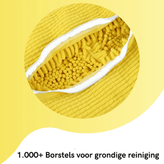 CleanBag | Schoenreiniging Vionelle